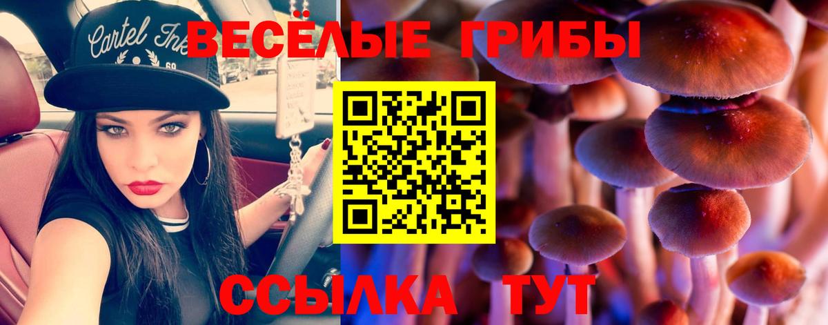 Галлюциногенные грибы мицелий Серов
