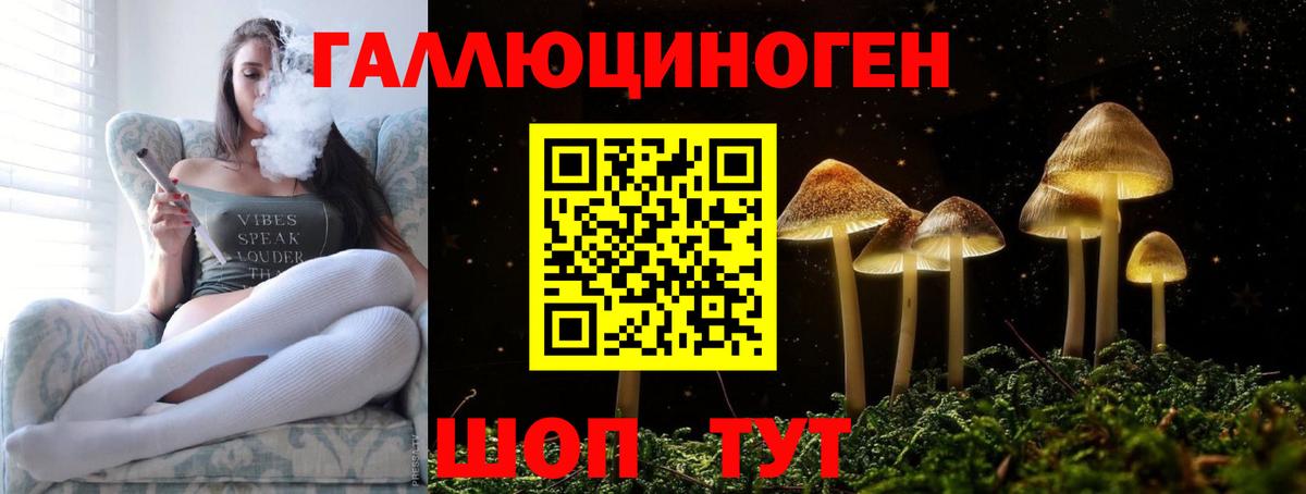 Галлюциногенные грибы Psilocybe  Вход с VPN  Серов 